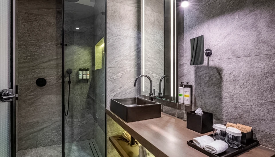 هتل پولمن اکسس تاورز تفلیس